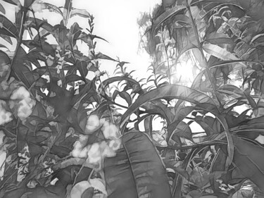 Black and White Aloysia citrodora Digital Arts με τίτλο "Black and White Alo…" από Ana Teresa Dias Da Silva, Αυθεντικά έργα τέχνης, Χειρισμένη φωτογραφία