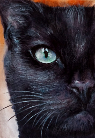 绘画 标题为“Black Cat portrait…” 由Natalja Picugina, 原创艺术品, 水彩