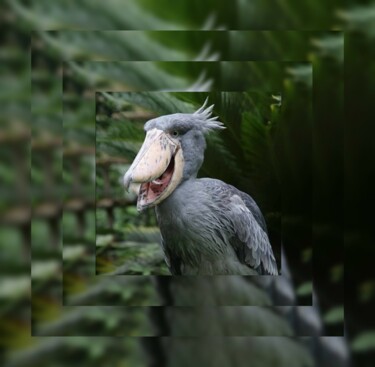 ART0287 VERRY RARE BIRD "THE SHOEBILL"