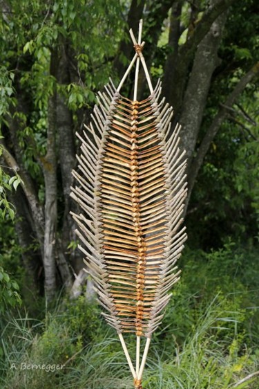Sculpture intitulée "plume du ciel" par Alain Bernegger, Œuvre d'art originale, Bois