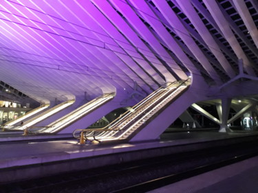 Photographie intitulée "Gare" par Phrevt H, Œuvre d'art originale, Photographie non manipulée