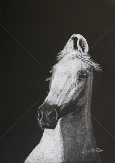 绘画 标题为“HORSE II” 由Svetlana Samovarova (SA.LANA), 原创艺术品, 铅笔