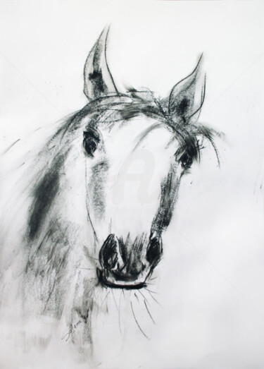 HORSE... QUICK PORTRAIT Ζωγραφική με τίτλο "HORSE... QUICK PORT…" από Svetlana Samovarova (SA.LANA), Αυθεντικά έργα τέχνης, Μελάνι