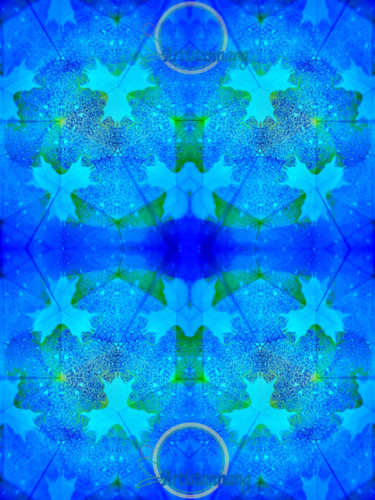 Digital Arts titled "Transformation V" by Anna Ng, Original Artwork, 2D Digital Work Mounted on Aluminium