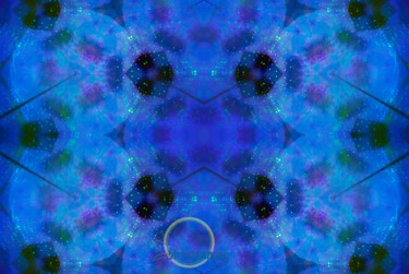 Digital Arts titled "Transformation VI" by Anna Ng, Original Artwork, 2D Digital Work Mounted on Aluminium