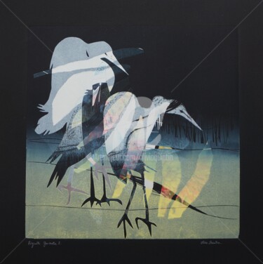Aigrette Garzette 2