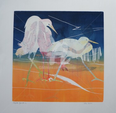 Aigrette Garzette 9