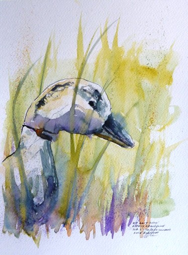 Fausse oie blanche en béton abandonné à l'Isle-aux-Coudres Tekening getiteld "Fausse oie blanche…" door René Blanchet, Origineel Kunstwerk, Aquarel