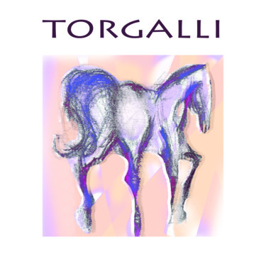 Dessin intitulée "DESSIN CHEVAL" par Philippe Graillot (TORGALLI), Œuvre d'art originale, Peinture numérique