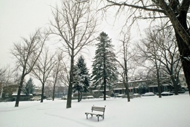 Photographie intitulée "Grant Circle" par Llewellyn Berry, Œuvre d'art originale, Photographie argentique
