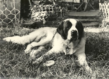 Photographie intitulée "Omar" par Llewellyn Berry, Œuvre d'art originale, Photographie argentique