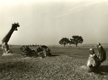 Photographie intitulée "The Awakening at Ha…" par Llewellyn Berry, Œuvre d'art originale, Photographie numérique