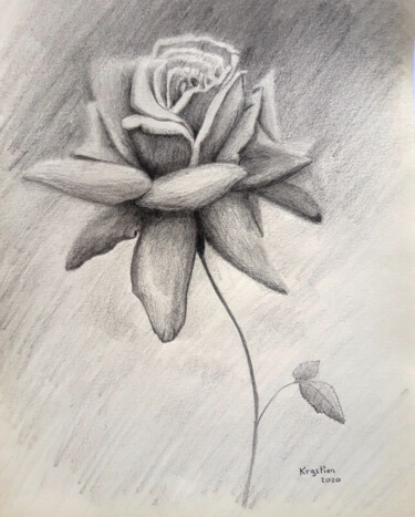 Dessin intitulée "Rose" par Krystian, Œuvre d'art originale, Crayon