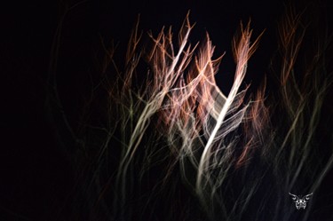 Fotografie mit dem Titel "Fantomatic" von Dominique Guillaume, Original-Kunstwerk, Digitale Fotografie