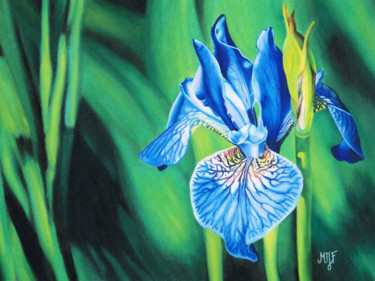 Peinture intitulée "Iris" par Marie-Jeanne Fawer, Œuvre d'art originale, Pastel