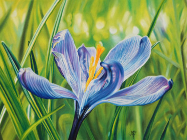 Peinture intitulée "Crocus" par Marie-Jeanne Fawer, Œuvre d'art originale, Pastel