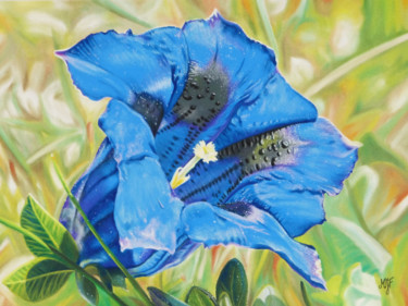 Peinture intitulée "Gentiane" par Marie-Jeanne Fawer, Œuvre d'art originale, Pastel