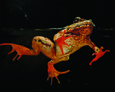 「,,FROGGG,,」というタイトルの絵画 Vadim Kovalevによって, オリジナルのアートワーク, オイル ウッドストレッチャーフレームにマウント
