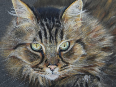 Peinture intitulée "Matou" par Marie-Jeanne Fawer, Œuvre d'art originale, Pastel