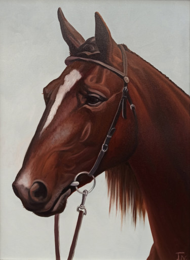 Horse portrait-3 (40x60cm, oil painting, ready to hang) Painting titled "Horse portrait-3 (4…" by Sergey Miqayelya, Original Artwork, Oil Mounted on Wood Stretcher frame