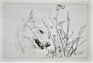 Drawing titled "Pytykorva.1" by Ari Reinikainen, Original Artwork, Ink