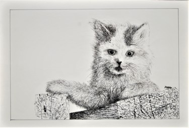 Drawing titled "Kissa ja muurahainen" by Ari Reinikainen, Original Artwork, Ink