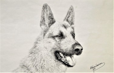 Drawing titled "Saksan paimenkoira" by Ari Reinikainen, Original Artwork, Ink