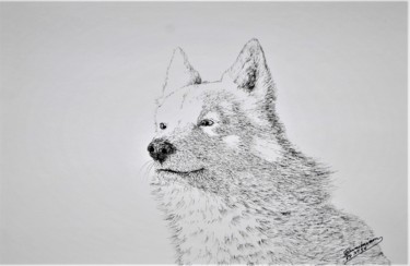 Drawing titled "Pystykorva.2" by Ari Reinikainen, Original Artwork, Ink
