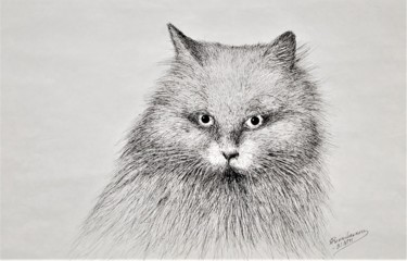 Drawing titled "Vihainen kissa" by Ari Reinikainen, Original Artwork, Ink