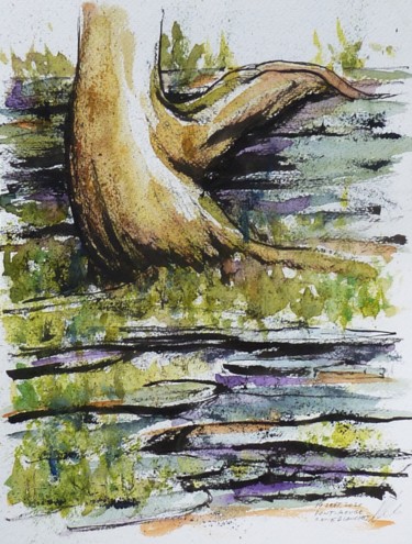 Arbre accroché à la paroi rocheuse à Pont-Rouge Dessin intitulée "Arbre accroché à la…" par René Blanchet, Œuvre d'art originale, Encre