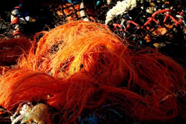 Photography titled "enchevêtrement" by Anne Marie Mermet, Original Artwork, Non Manipulated Photography