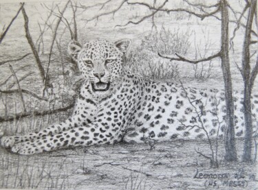 「Lazy young leopard」というタイトルの描画 Leonora De Langeによって, オリジナルのアートワーク, 鉛筆