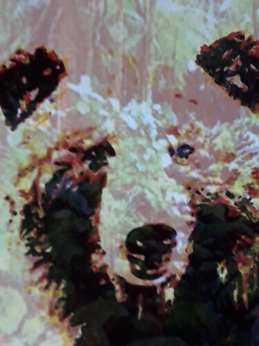 数字艺术 标题为“L' ours brun” 由Patrick Mauxion (MAUX), 原创艺术品, 2D数字工作 安装在其他刚性面板上
