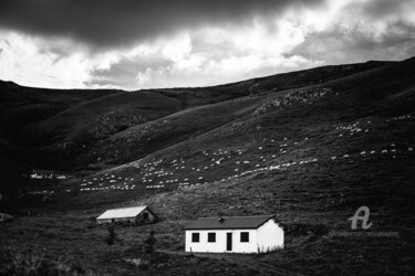 Photography titled "Count the Sheeps" by Cassiopeia, Original Artwork, Digital Photography