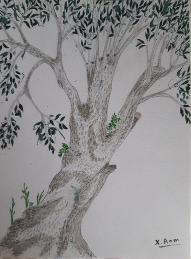Le vieil olivier Peinture intitulée "Le vieil olivier" par Maria Xavier Alves (XAM), Œuvre d'art originale, Fusain