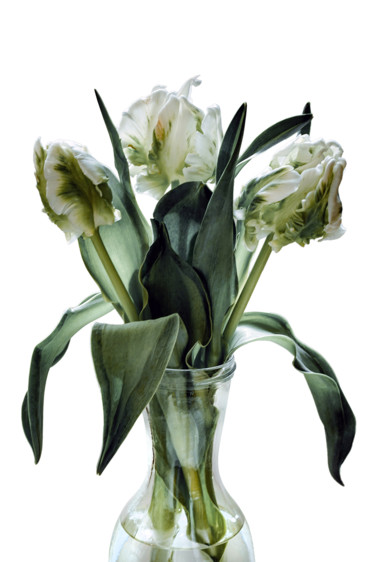 Fotografie mit dem Titel "Tulips - "parrots"" von Irina Dotter, Original-Kunstwerk, Digitale Fotografie