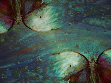 Papillons 5 Butterflies 5 Mariposas 5 Arte digital titulada "Papillons 5 Butterf…" por Hélène Patris, Obra de arte original, Pintura Digital