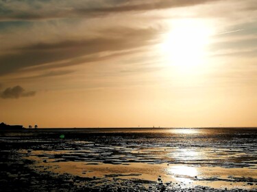 Photography titled "Soleil doré" by Sylvie Metayer, Original Artwork, Digital Photography