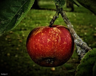 Photographie intitulée "Pomme" par Artcouleur S, Œuvre d'art originale, Photographie numérique