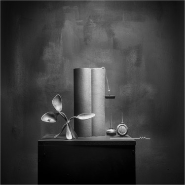 Photographie intitulée "photographiesjeantu…" par Jean Turco, Œuvre d'art originale, Photographie numérique