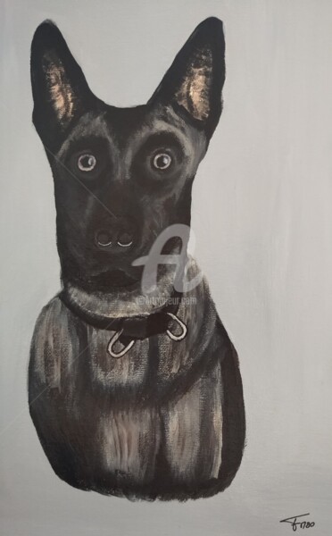 Peinture intitulée "Malinois" par Franck Moreno, Œuvre d'art originale, Acrylique Monté sur Châssis en bois