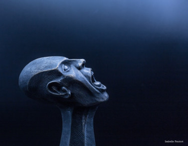 Φωτογραφία με τίτλο "The Scream" από Isabelle Pautrot, Αυθεντικά έργα τέχνης, Ψηφιακή φωτογραφία