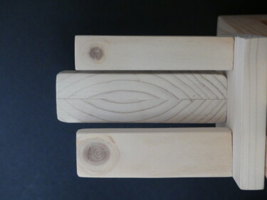 Sculpture intitulée "Trio" par Pascal Borgo, Œuvre d'art originale, Bois