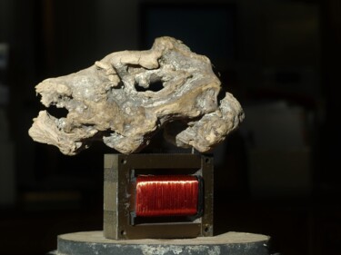 Sculpture intitulée "Tête de Buis 1" par Pascal Borgo, Œuvre d'art originale, Bois