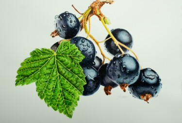 제목이 "Ribes Nigrum"인 미술작품 Dietrich Moravec로, 원작, 수채화