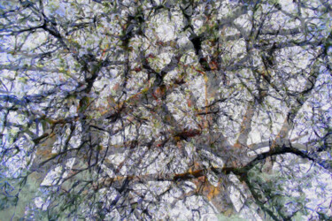 Digital Arts με τίτλο "Digital Cherry Blos…" από Franz Hümpfner, Αυθεντικά έργα τέχνης, Ψηφιακή ζωγραφική Τοποθετήθηκε στο Μ…