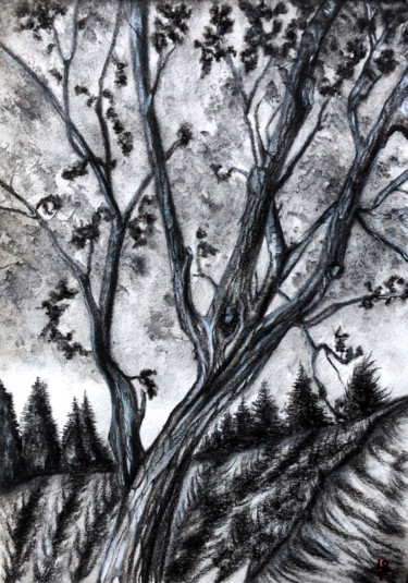 Peinture intitulée "Arbre noir" par Anne Brigaud, Œuvre d'art originale, Fusain