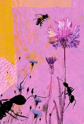 Digital Arts titled "Carte postale/Media…" by Hel Swynghedauw, Original Artwork, Collages