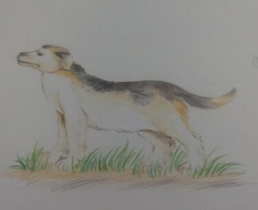 Drawing titled "Animal" by Krishna Art Gallery, Original Artwork, Pencil