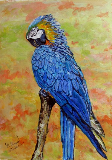 Le perroquet bleu en colère